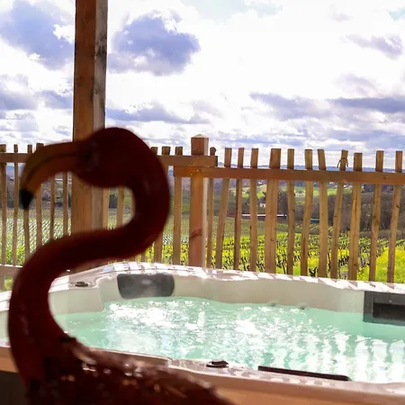 Le Domaine De La Tour Des Vents 4* Bergerac