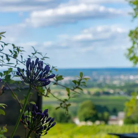 Bed & Breakfast Le Domaine De La Tour Des Vents Bergerac