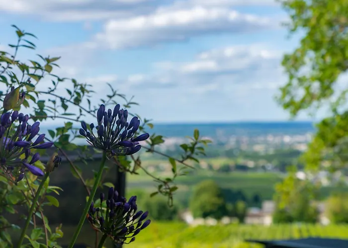 Oda ve Kahvaltı Le Domaine De La Tour Des Vents Bergerac